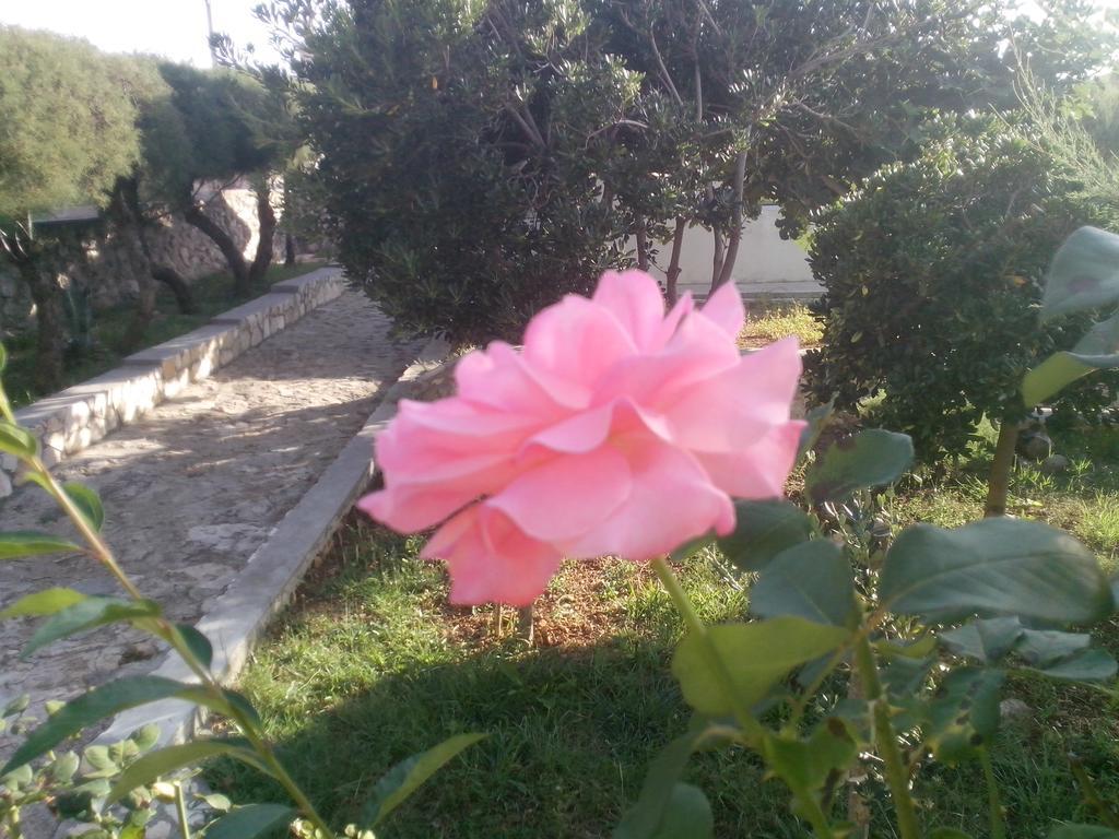 Kuca Za Odmor Laura Apartment ราชานาส ภายนอก รูปภาพ