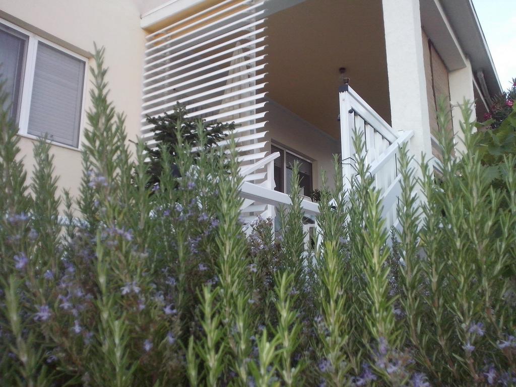 Kuca Za Odmor Laura Apartment ราชานาส ภายนอก รูปภาพ